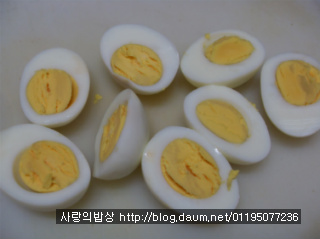 박물관뜨락,계절의여왕 강림하다! 숙녀의 화려한도시락 >_