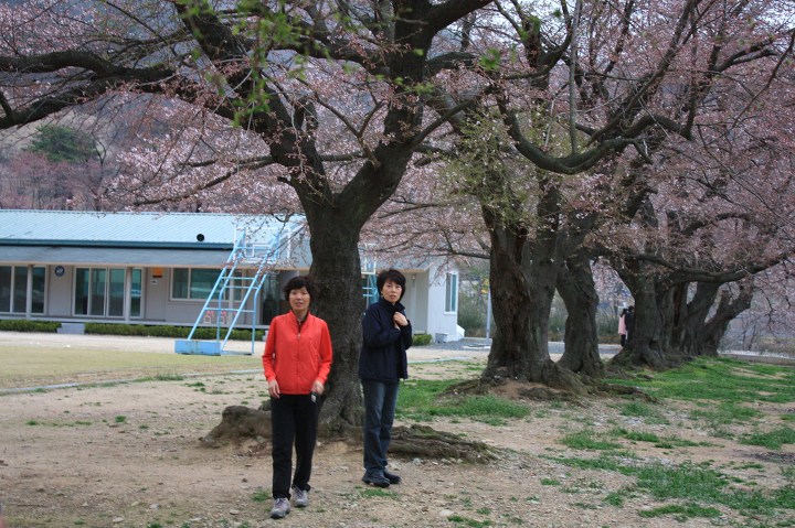 섬진강사람들 이미지