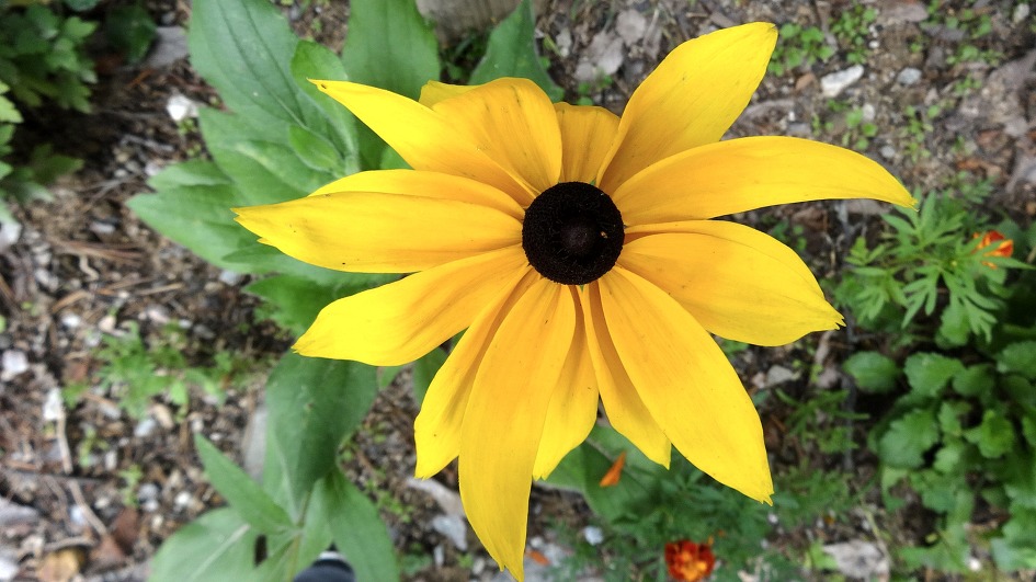 천축산 불영사 (경북 울진)