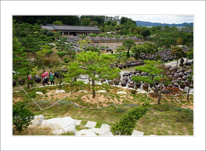 5670 아름다운 동행 | 익산 탐사 여행 - Daum 카페 익산 탐사 여행