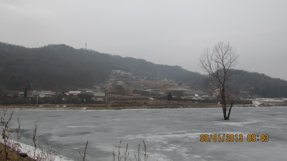 산고래 이미지