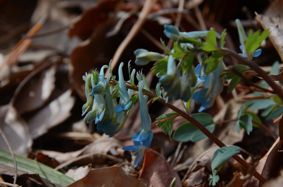 아직은 찬기운이 가득남았다.