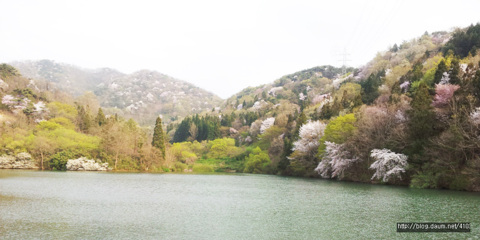 사진의 명소 화순 세량지 숲