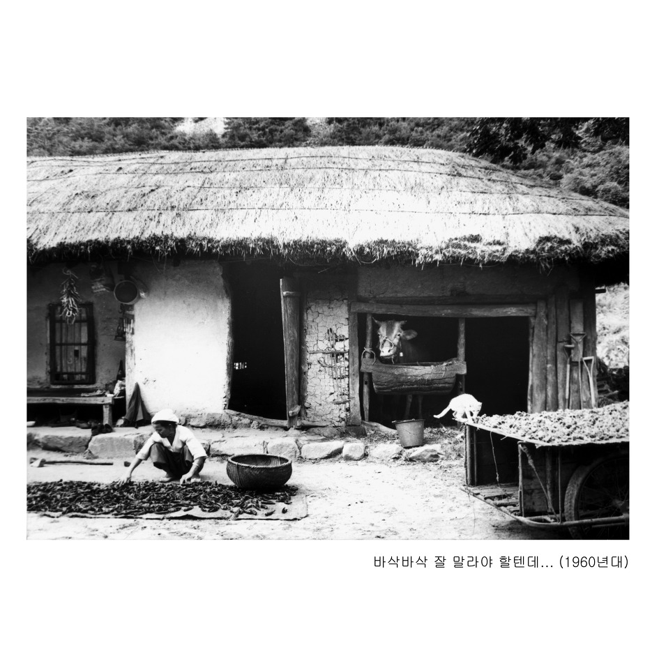 충주시 시승격 60주년 기념, '시민의 날' 행사 개최