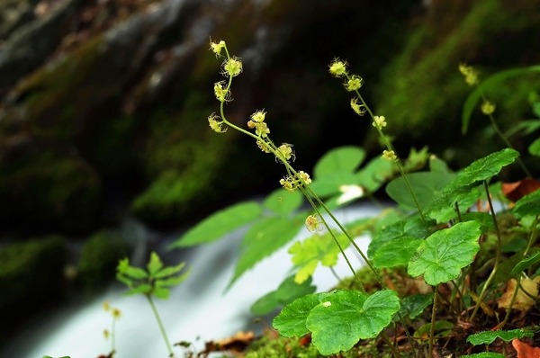 토지거래 허가 2년후면 풀린다