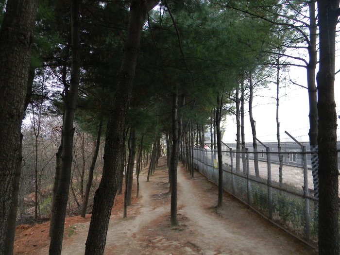 초안산 허공바위, 헬기장 부근 옛 무덤과 문인석들