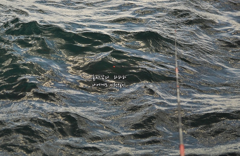 차유 이미지