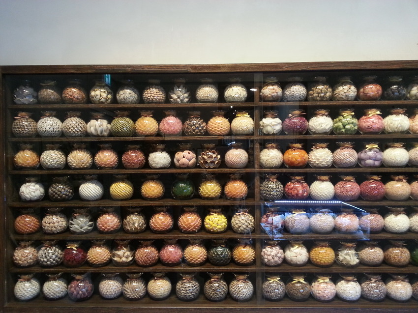 제주도 세계 조가비 박물관