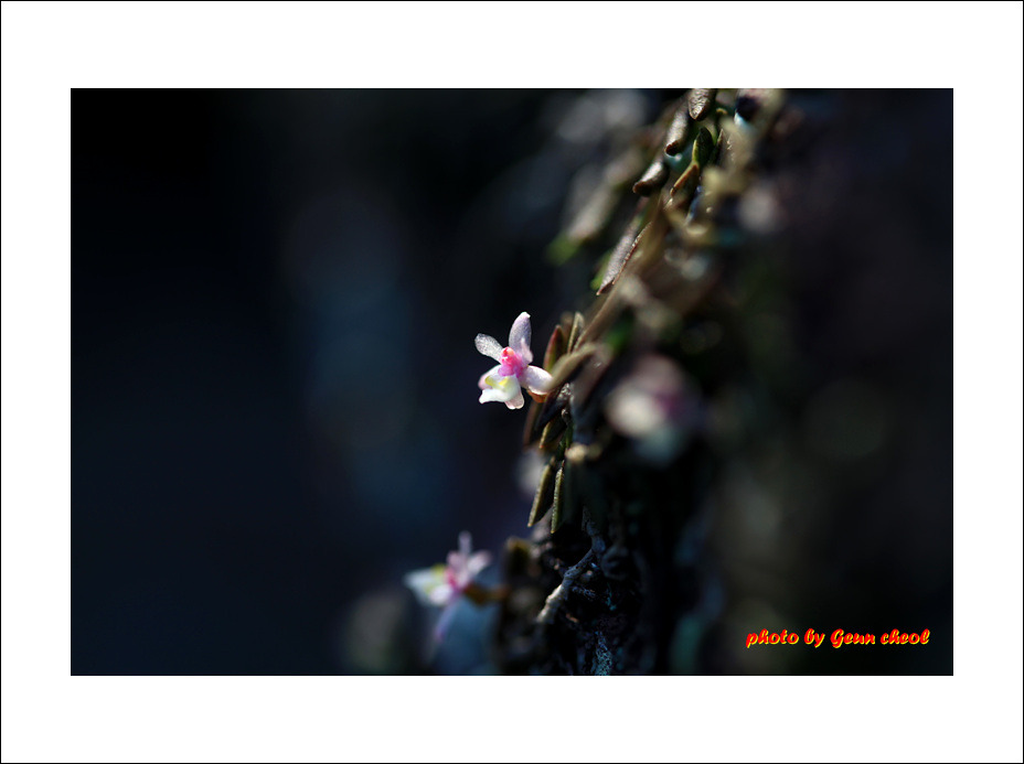 "지네발난” 2013.07.30