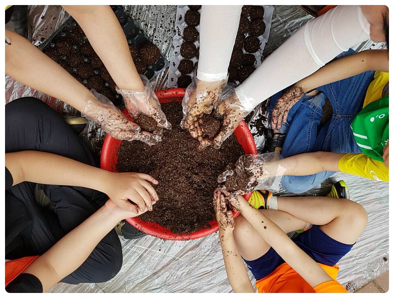 23370545595DEE98171E2B