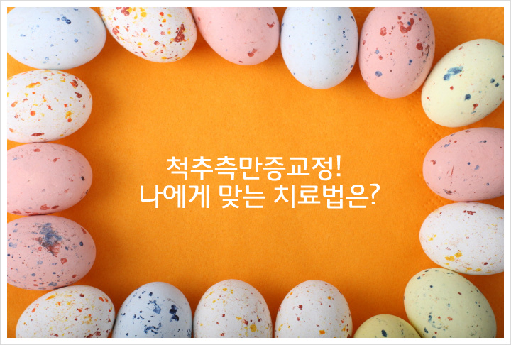 선천가설 이미지
