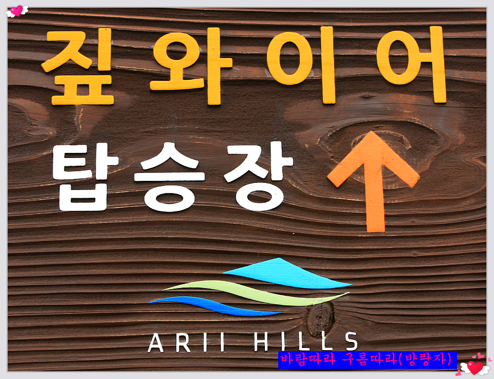 정선에코리조트 이미지