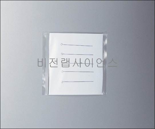 백금이,WIRE PLATINUM(LOOP)