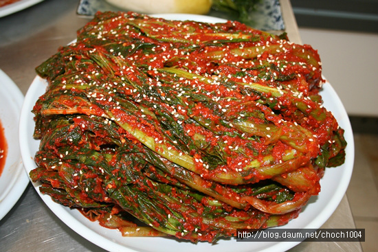[판매] 진짜 맛있어요! 돌산갓김치