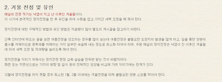 매실겨울거름주기와방제 [펌]