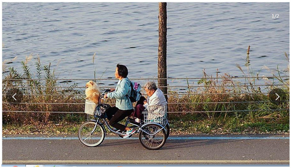 부산시 강서구 명지지구개발    