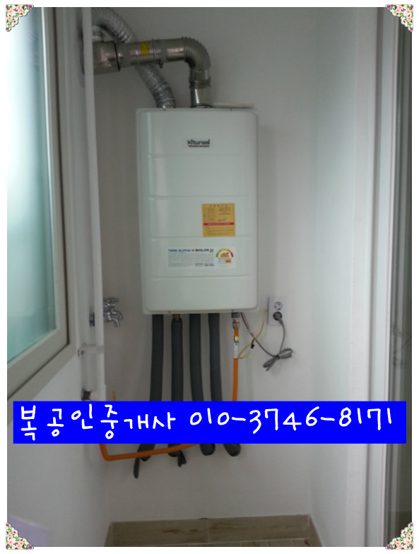 대전서구원룸임대,서구내동원룸/투룸임대.내동상가주택매매.﻿