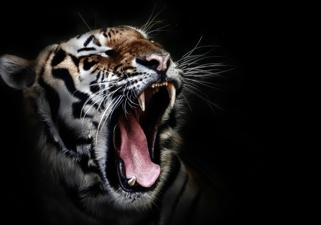 왕좌의 게임 : 동북아시아 | 인스티즈