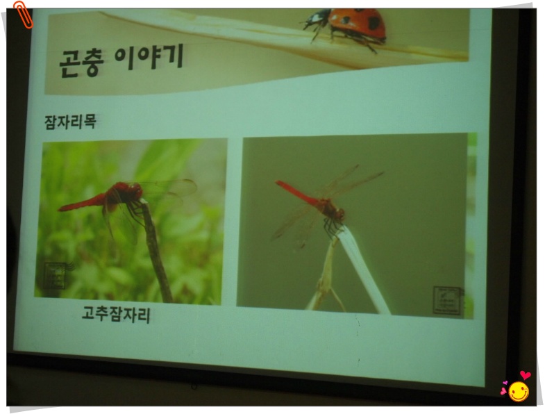안수정 이미지
