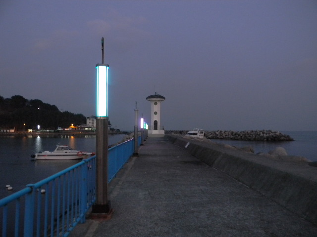 울산 당사항 (당사항의 야경)