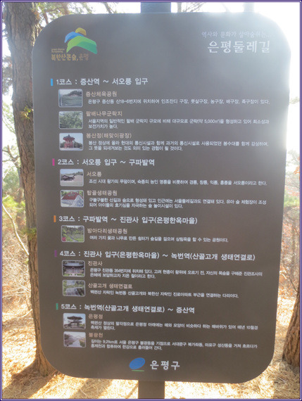 초록숲 이미지