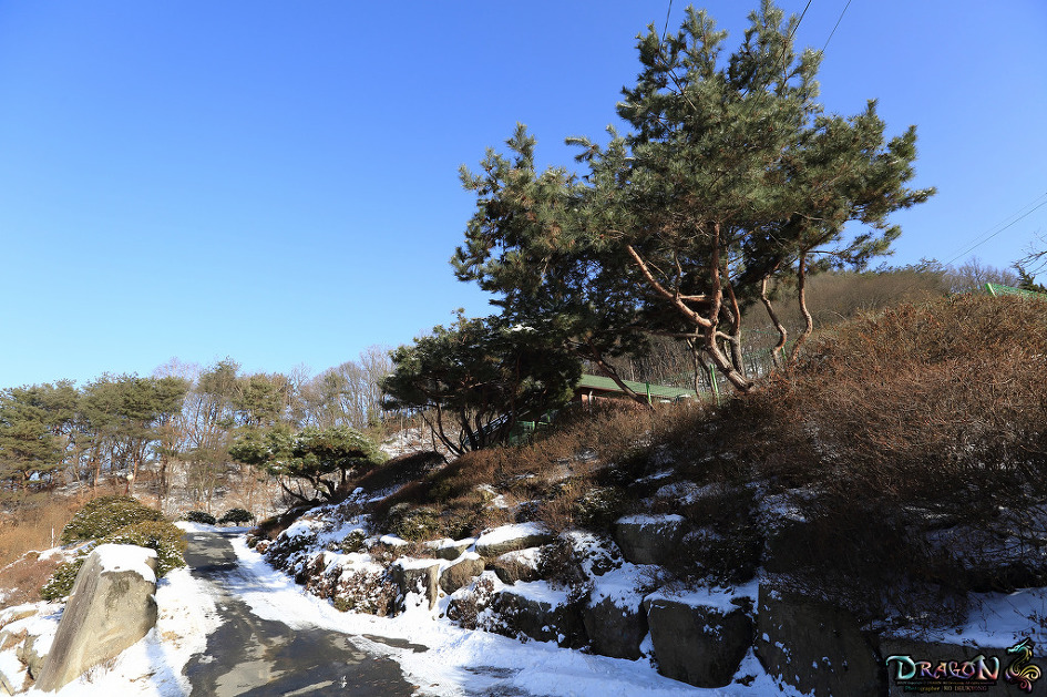 강원도 횡성군 갑천면 구방리 시골집 풍경과 장독대