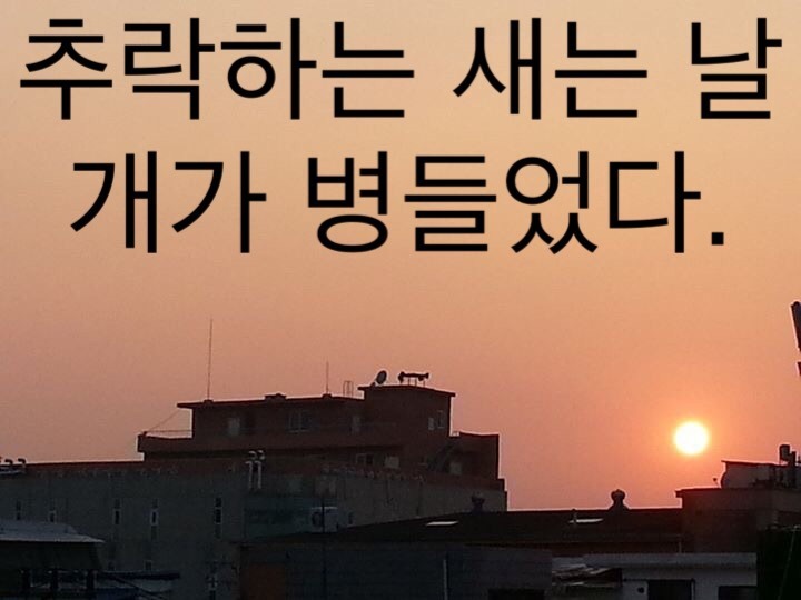 글 사진 