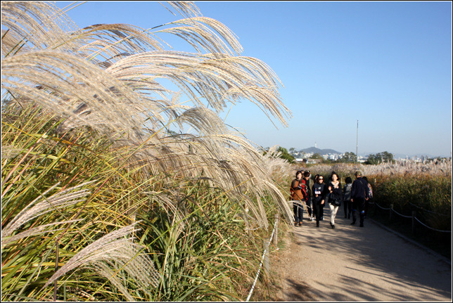 2563064C5449F2C91C163D