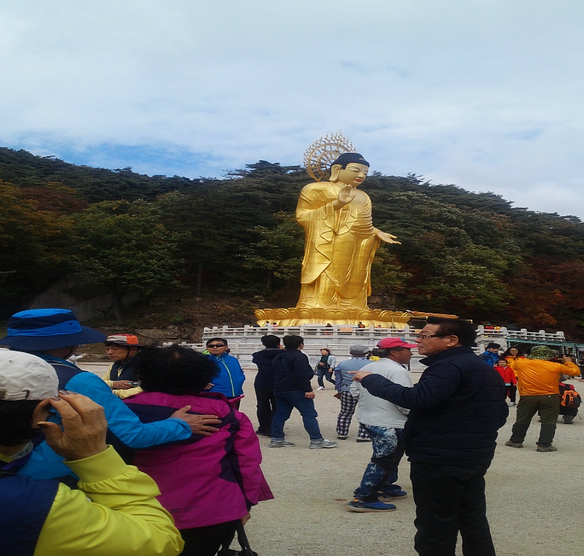 속리산의 단풍
