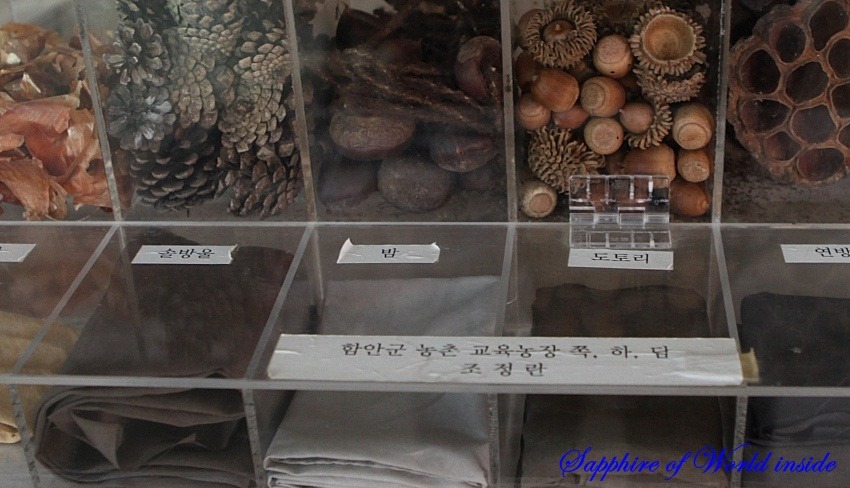 하담 이미지