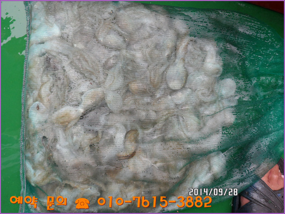 26295A3D54280904120B87