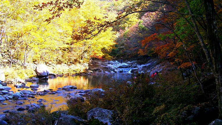 265F0942526D232E2E0751