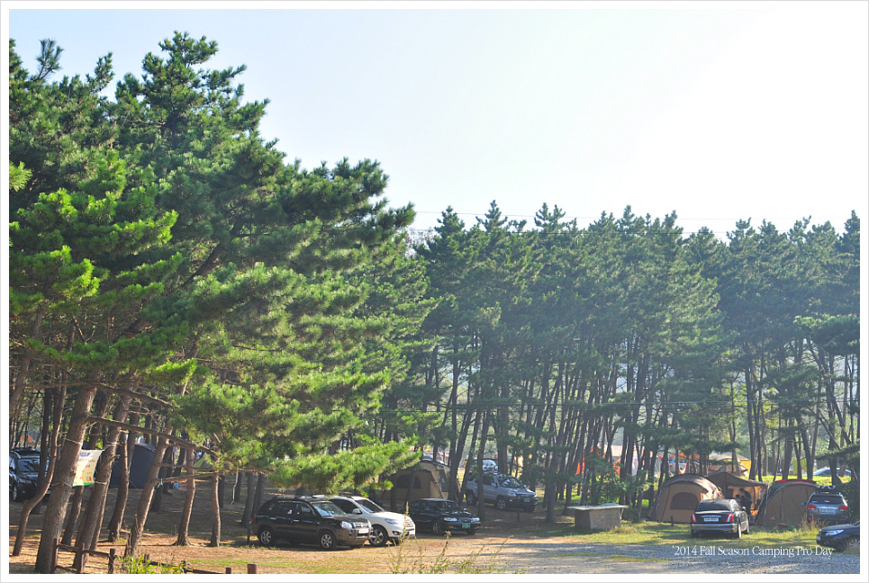 중앙캠핑장 이미지