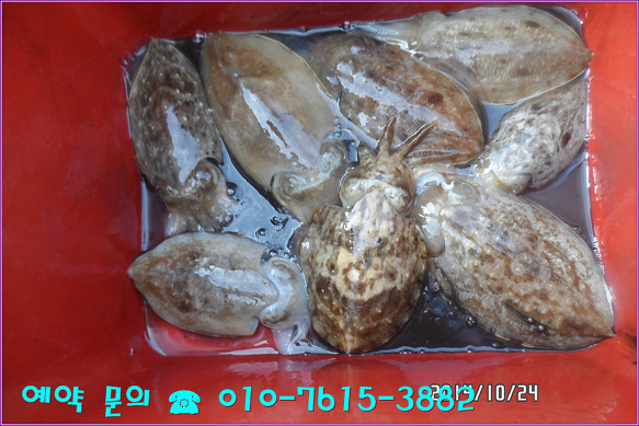 2670373B544A3BD10222B2
