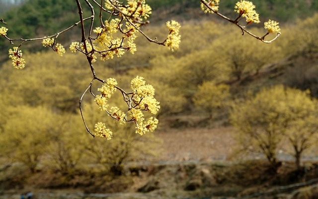 참 그리스도인으로 산다는 것
