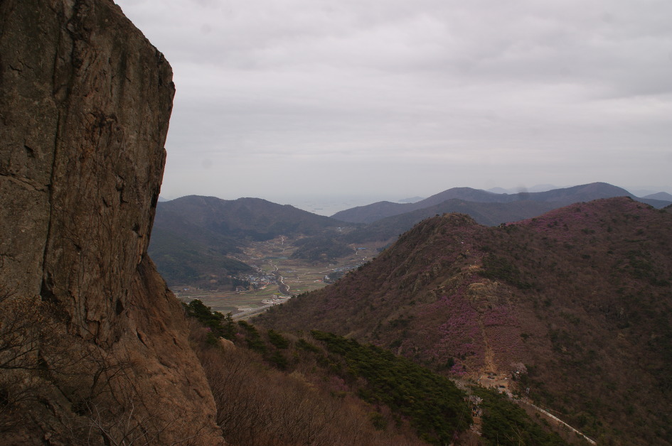 여수 영취산의 화사한 진달래에 마음을 내려 놓다(15.4.4)