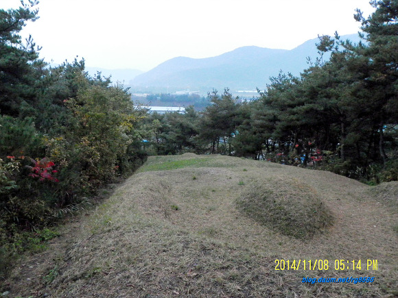 운문지맥3구간(오치령 -백암봉-중산-낙화산-보담산-비학산-정문마을)