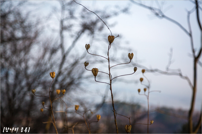 2016.12.31 인천 삼형제섬길(신도, 시도, 모도)을 걷다