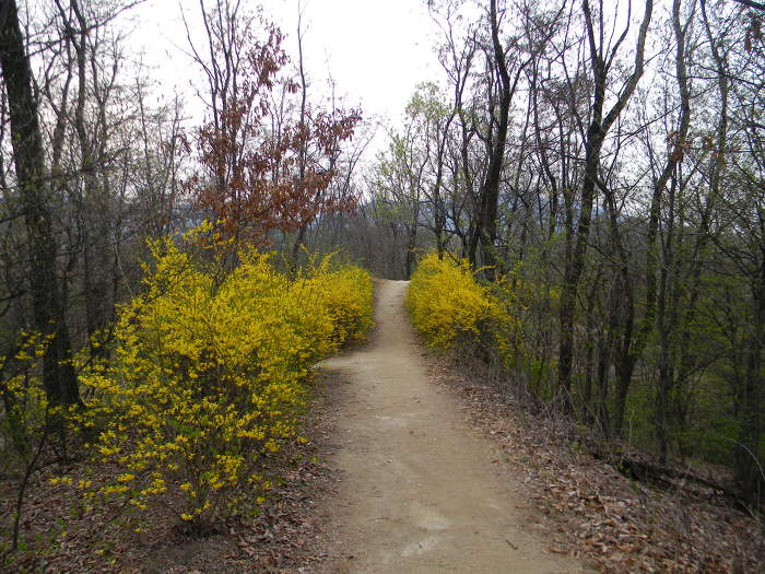 초안산 창1동, 창3동 구역 (박묵선의 밀양박씨 묘역)