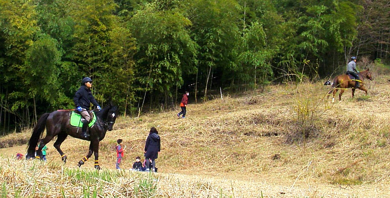 276E5445552A511A0102A4