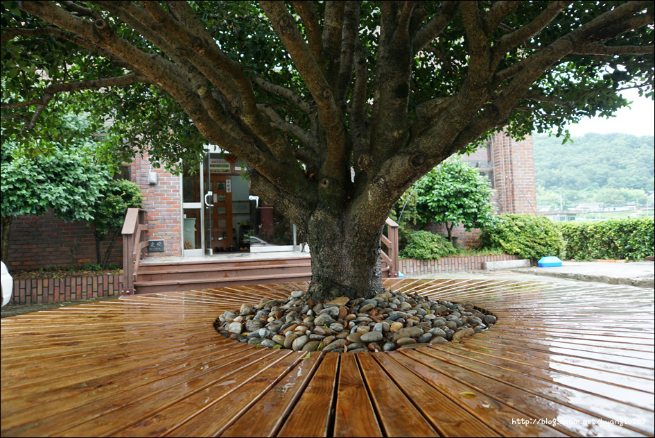 삼천포교구 시일 설교 이미지