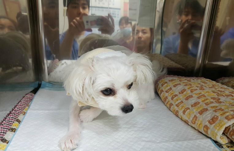 보름 이미지