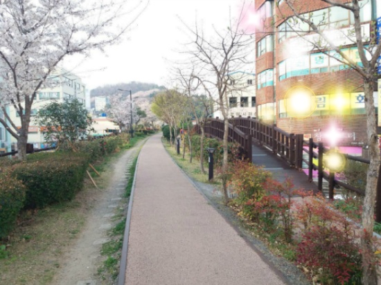 봄나들이 좋은 해안가 산책 코스
