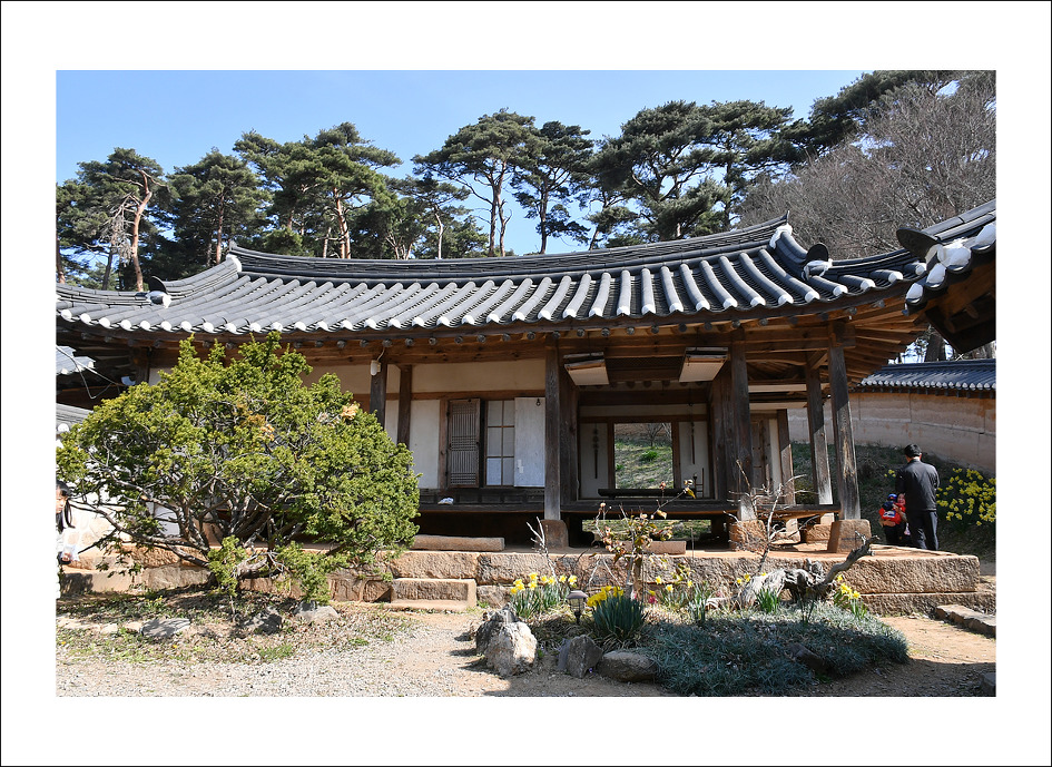 서산 여미리 유기방 가옥(4월7일)...