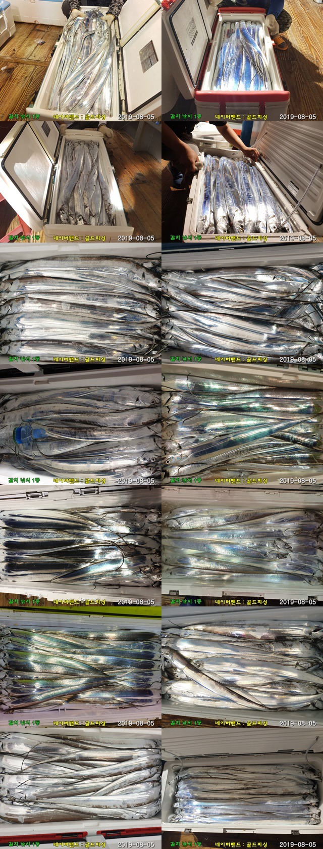 99065D355D4772BD27DEC5