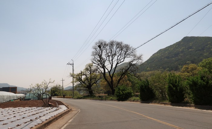 못찾겠다꾀꼬리 이미지