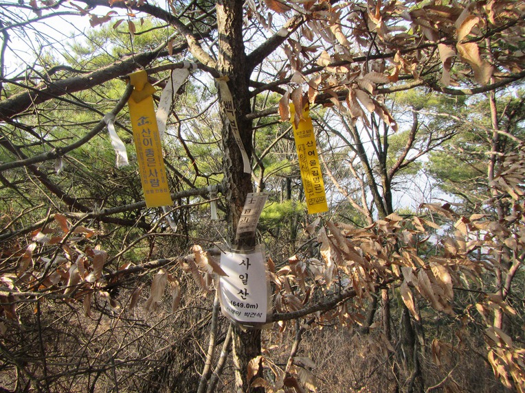 사일산 이미지
