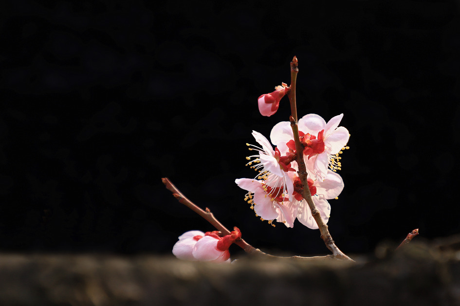 암중화 (김해건설공고. 2019.03.06.수)