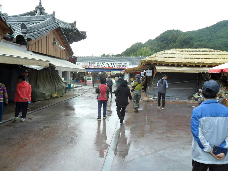 2018년 서구지회 등반대회  