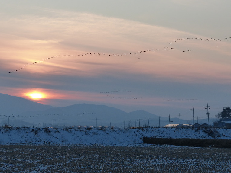 991AF94B5DF70145032823